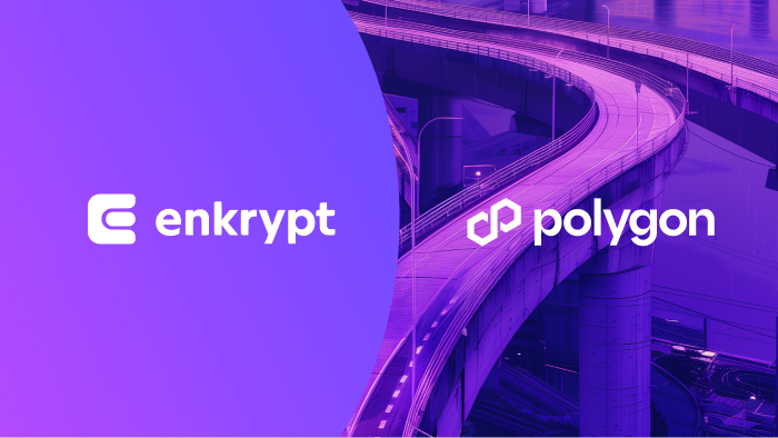 Bridge from Ethereum to Polygon with Enkrypt