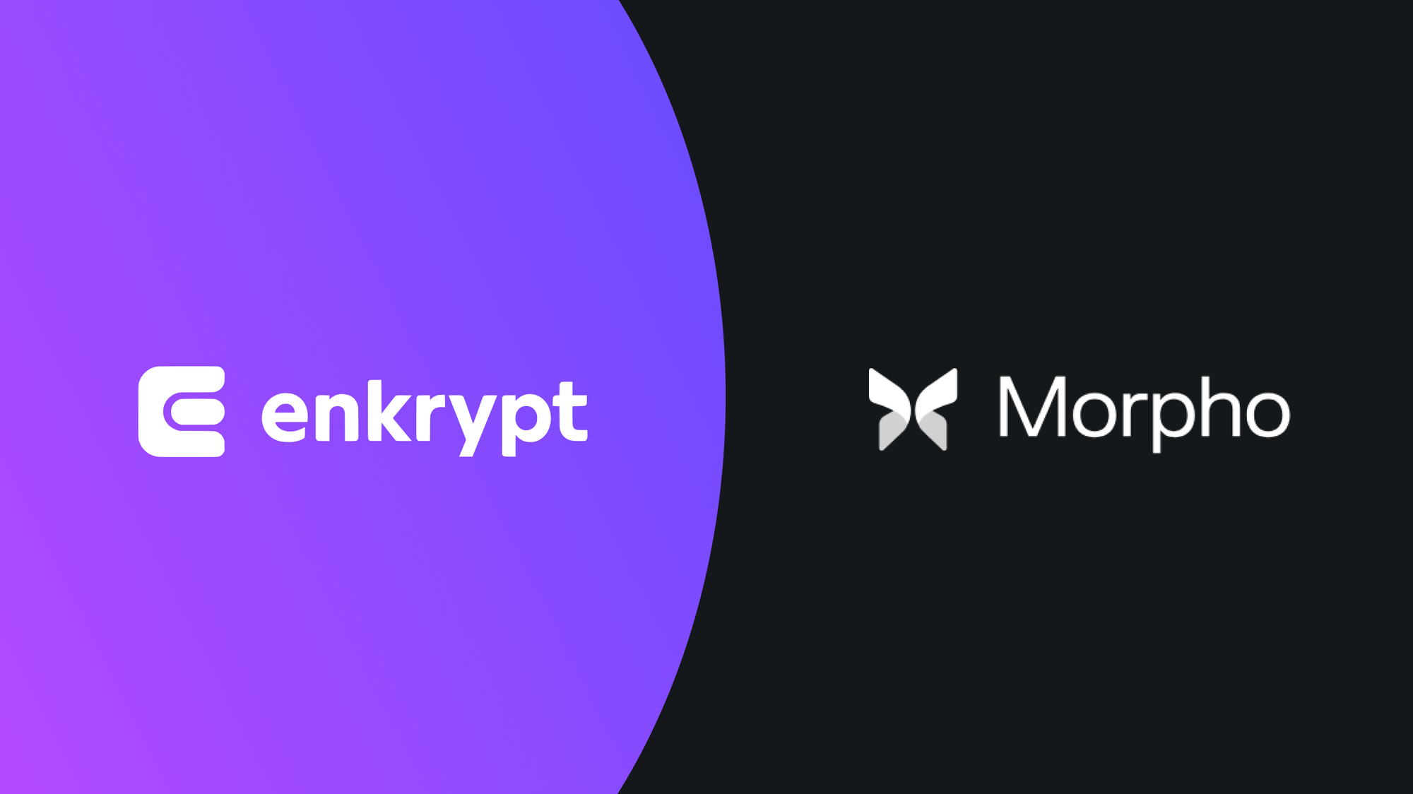 Morpho x Enkrypt