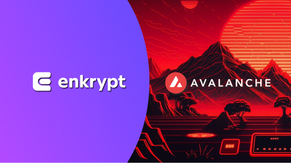 Interacting with Avalanche (AVAX) using Enkrypt