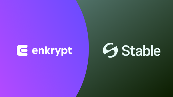 Enkrypt x Stable Testnet